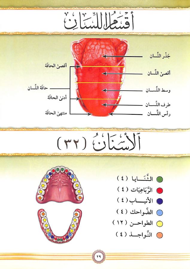 شرح منظومة المقدمة فيما يجب على قاري القرآن ان يعلمه - طبعة دار الغوثاني للدراسات القرانية - Sample Page - 4