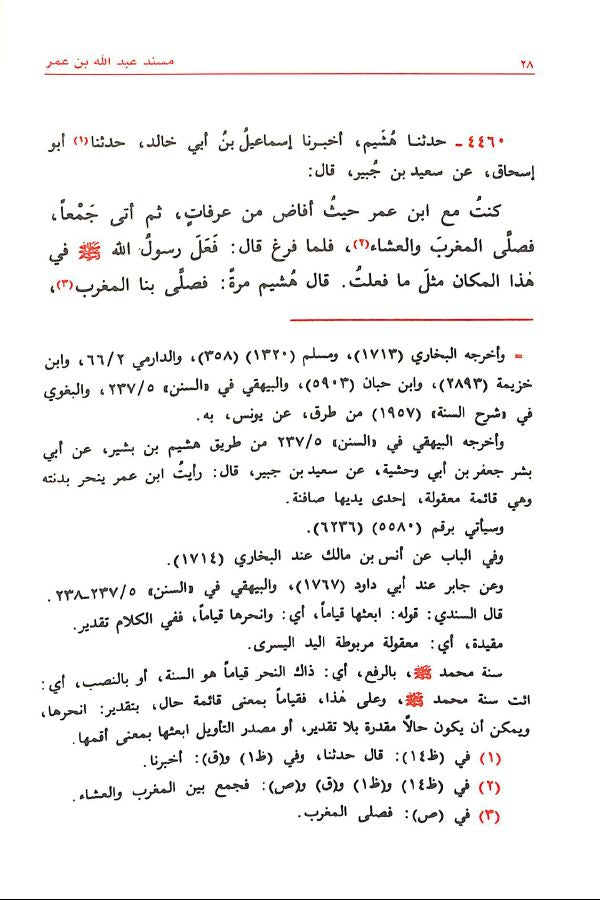مسند الامام احمد بن حنبل طبعة مؤسسة الرسالة - Sample Page - 5