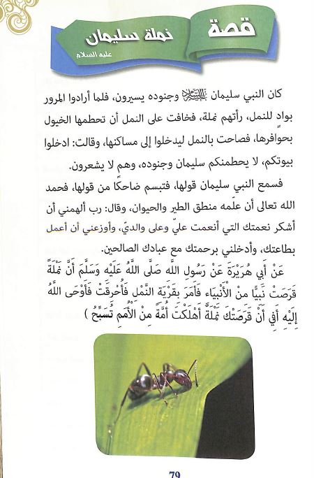 قصة من قصص الطير والحيوان في القران الكريم - Sample Page - 8