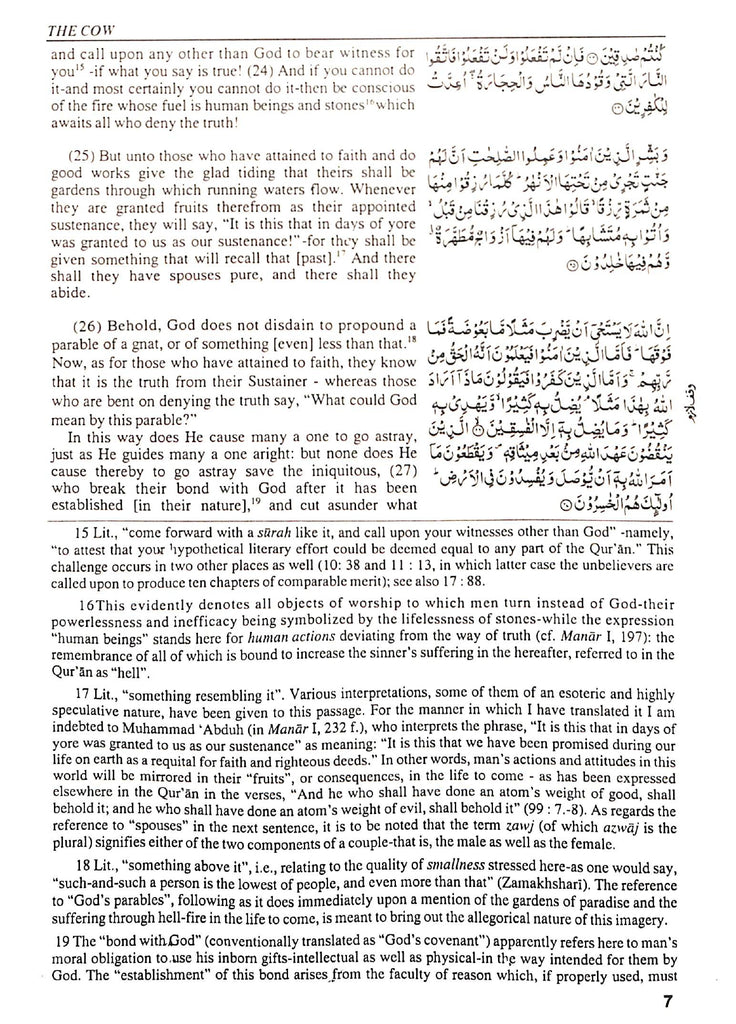 The Message Of The Quran - Published by Dar al-Andalus - Sample Page - 4