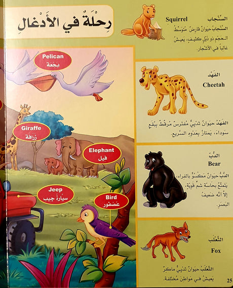 My Picture Dictionary / (Arabic - English Bilingual) : 4 - 9 years - English_Book