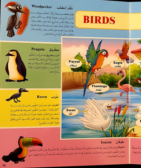 My Picture Dictionary / (Arabic - English Bilingual) : 4 - 9 years - English_Book