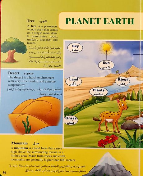 My Picture Dictionary / (Arabic - English Bilingual) : 4 - 9 years - English_Book