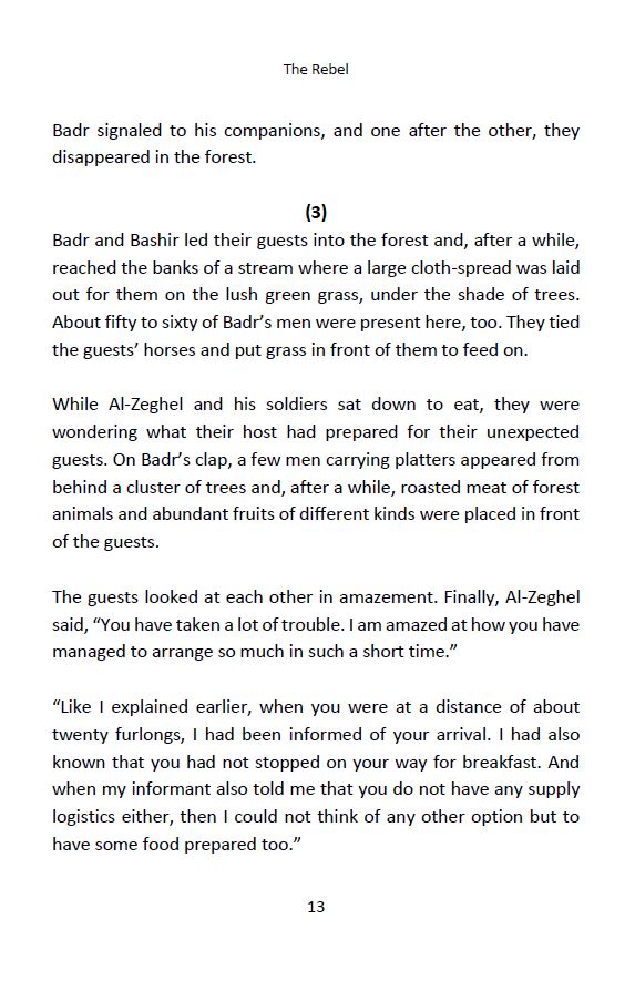 Badr Bin Mughira - The Shaheen of Andalus - English Book