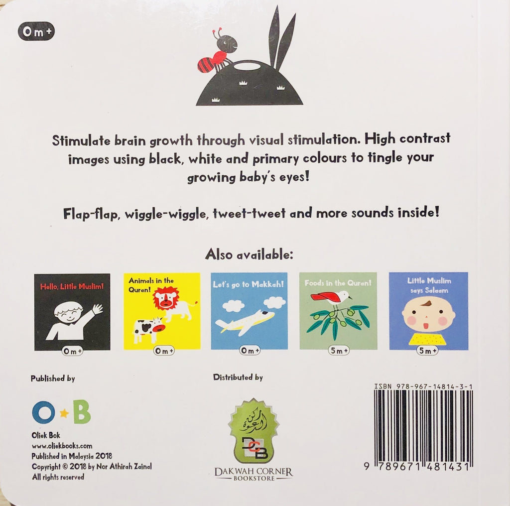 Bugs and Birds In The Quran ! - Boardbook For Toddlers - English_Book