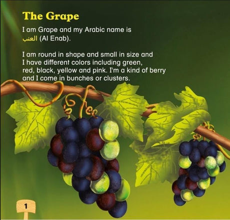 My Name Is Mentioned In The Holy Quran - Food and Drink - English Book