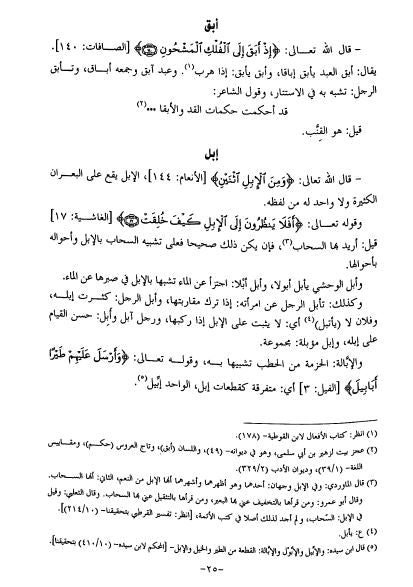 جامع البيان في مفردات القرآن - Sample Page - 3