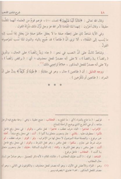 شرح شذور الذهب في معرفة كلام العرب - طبعة دار الفيحاء - Arabic Book