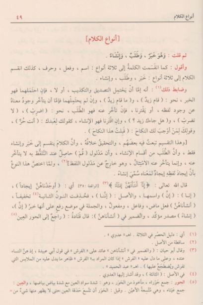 شرح شذور الذهب في معرفة كلام العرب - طبعة دار الفيحاء - Arabic Book